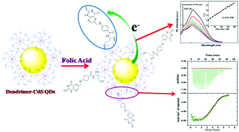 Graphical abstract: Exploiting the biomimetic and luminescence properties of multivalent dendrimer–semiconductor nanohybrid materials in the ultra-low level determination of folic acid