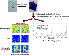 Graphical abstract: Confocal Raman imaging and chemometrics applied to solve forensic document examination involving crossed lines and obliteration cases by a depth profiling study