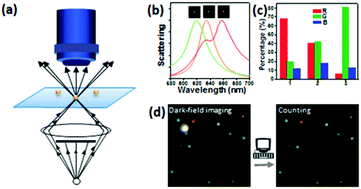 Graphical abstract: Analytical methods based on the light-scattering of plasmonic nanoparticles at the single particle level with dark-field microscopy imaging