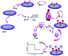 Graphical abstract: An ultrasensitive electrochemical immunosensor based on the synergistic effect of quaternary Cu2SnZnS4 NCs and cyclodextrin-functionalized graphene