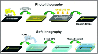 Graphical abstract: Microfabricated tools for quantitative plant biology