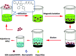 Graphical abstract: Ultrasound-assisted mixed hemimicelle magnetic solid phase extraction followed by high performance liquid chromatography for the quantification of atorvastatin in biological and aquatic samples