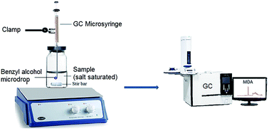 Graphical abstract: Salt saturated single-drop microextraction of malondialdehyde from human plasma before its determination by gas chromatography