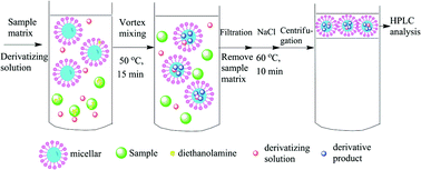 Graphical abstract: Determination of diethanolamine in cosmetics based on micellar extraction in situ derivatization coupled with high performance liquid chromatography