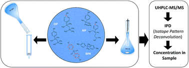 Graphical abstract: Method development and validation for the determination of selected endocrine disrupting compounds by liquid chromatography mass spectrometry and isotope pattern deconvolution in water samples. Comparison of two extraction techniques