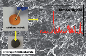 Graphical abstract: Rapid and direct detection of illicit dyes on tainted fruit peel using a PVA hydrogel surface enhanced Raman scattering substrate