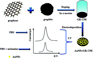 Graphical abstract: Sensitive electrochemical detection of melamine based on gold nanoparticles deposited on a graphene doped carbon paste electrode