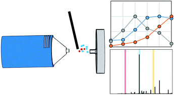 Graphical abstract: Detection of low molecular weight adulterants in beverages by direct analysis in real time mass spectrometry