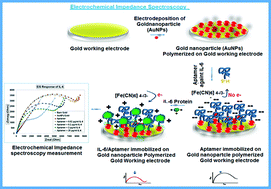 Graphical abstract: Label free nano-aptasensor for interleukin-6 in protein-dilute bio fluids such as sweat