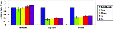 Graphical abstract: Targeted histidine-peptide enrichment improved the accuracy of isobaric-based quantitative proteomics