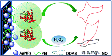 Graphical abstract: Silver nanoparticles/polyethyleneimine/graphene oxide composite combined with surfactant film for construction of an electrochemical biosensor