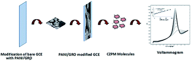 Graphical abstract: A polyaniline/graphene oxide nanocomposite as a voltammetric sensor for electroanalytical detection of clonazepam