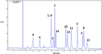 Graphical abstract: A capillary electrophoresis electrospray ionization-mass spectrometry method using a borate background electrolyte for the fingerprinting analysis of flavonoids in Ginkgo biloba herbal supplements