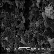 Graphical abstract: Determination of trace silver by high-resolution continuum source flame atomic absorption spectrometry (HR-CS FAAS) after separation/preconcentration on Rhodococcus ruber bacterial biomass