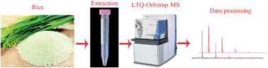 Graphical abstract: Simultaneous analysis of tocopherols, tocotrienols, phospholipids, γ-oryzanols and β-carotene in rice by ultra-high performance liquid chromatography coupled to a linear ion trap-orbitrap mass spectrometer