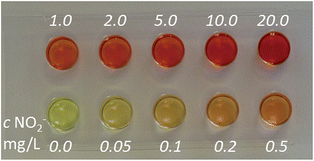 Graphical abstract: Solid-phase test reagent for determination of nitrite and nitrate