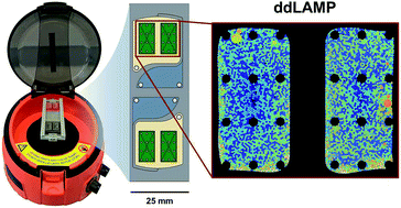 Graphical abstract: Digital droplet LAMP as a microfluidic app on standard laboratory devices