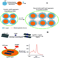 Graphical abstract: Facile synthesis of a highly SERS active nanosilver sol using microwaves and its application in the detection of E. coli using Victoria blue B as a molecular probe