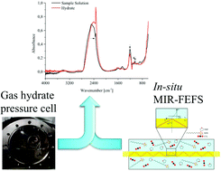 Graphical abstract: In situ monitoring of additives during CO2 gas hydrate formation