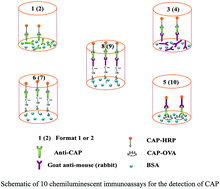 Graphical abstract: Determination of chloramphenicol in milk by ten chemiluminescent immunoassays: influence of assay format applied