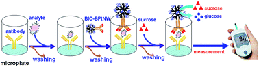 Graphical abstract: Glucometer-based signal readout for a portable low-cost electrochemical immunoassay using branched platinum nanowires