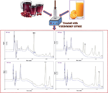 Graphical abstract: Determination of trace phenolic acids in fruit juice samples using multiple monolithic fiber solid-phase microextraction coupled with high-performance liquid chromatography