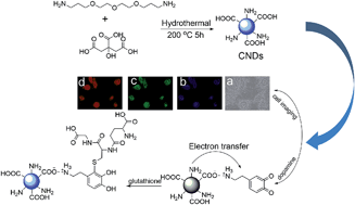 Graphical abstract: Carbon nanodots prepared for cellular imaging and turn-on detection of glutathione