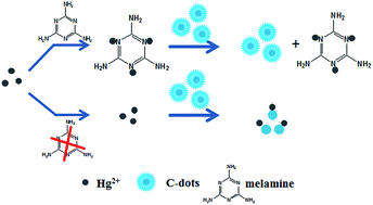 Graphical abstract: A turn-on fluorescent sensor for the detection of melamine based on the anti-quenching ability of Hg2+ to carbon nanodots