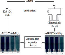 Graphical abstract: Electrolysis-induced fast activation of the ABTS reagent for an antioxidant capacity assay