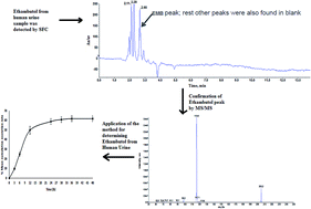 Graphical abstract: SFC-MS for the identification and estimation of ethambutol in its dosage form and in human urine samples