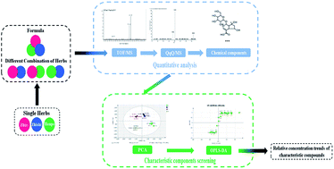 Graphical abstract: Integrated chemical profiling of Zhi-Zi-Hou-Po decoction by liquid chromatography-diode array detector-time of flight mass analyzer and liquid chromatography-triple stage quadrupole mass analyzer combined with chemometrics
