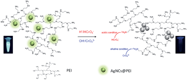 Graphical abstract: A sensitive detection of Cr(vi) in wide pH range using polyethyleneimine protected silver nanoclusters