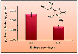 Graphical abstract: Determination of ascorbic acid in the retina during chicken embryo development using high performance liquid chromatography and UV detection