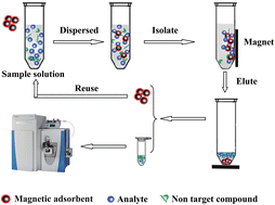 Graphical abstract: Highly sensitive mass spectrometric detection of flunitrazepam using magnetic graphene framework enrichment