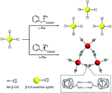 Graphical abstract: β-Cyclodextrin-modified silver nanoparticles as colorimetric probes for the direct visual enantioselective recognition of aromatic α-amino acids