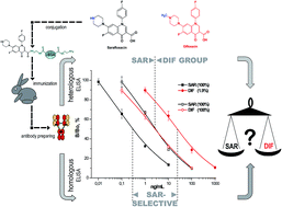 Graphical abstract: Simultaneous and differential determination of drugs and metabolites using the same antibody: difloxacin and sarafloxacin case