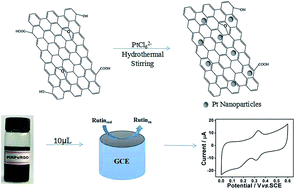 Graphical abstract: Nonenzymatic electrochemical detection of rutin on Pt nanoparticles/graphene nanocomposite modified glassy carbon electrode