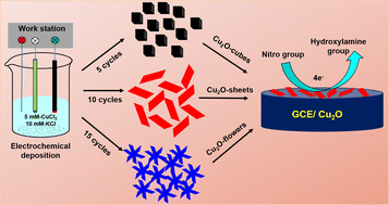 Graphical abstract: A facile electrochemical synthesis strategy for Cu2O (cubes, sheets and flowers) microstructured materials for sensitive detection of 4-nitrophenol