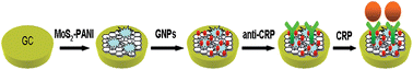 Graphical abstract: An ultrasensitive label-free immunoassay for C-reactive protein detection in human serum based on electron transfer