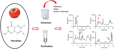 Graphical abstract: Development of an HPLC-MS method for the determination of natural pteridines in tomato samples