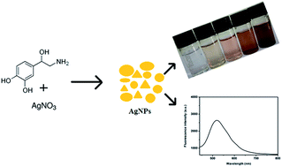 Graphical abstract: A colorimetric and fluorometric sensor for the determination of norepinephrine