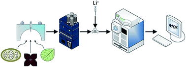 Graphical abstract: In situ analysis of Asimina triloba (paw paw) plant tissues for acetogenins via the droplet-liquid microjunction-surface sampling probe coupled to UHPLC-PDA-HRMS/MS