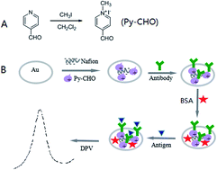 Graphical abstract: The fabrication of a label-free electrochemical immunosensor using an aldehyde-functionalized pyridinium salt for antibody immobilization