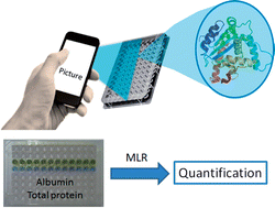 Graphical abstract: Determination of serum protein content using cell phone image analysis