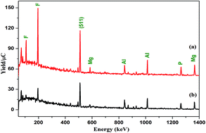 Graphical abstract: Determination of F, Na, Mg, Al and P in Indian tea powders by a proton induced γ-ray emission technique
