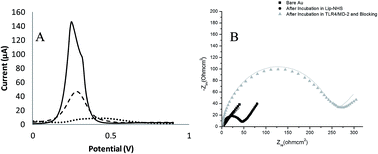 Graphical abstract: Characterization of TLR4/MD-2-modified Au sensor surfaces towards the detection of molecular signatures of bacteria