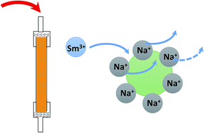 Graphical abstract: Speciation of a lanthanide (Sm) using an ion exchange resin