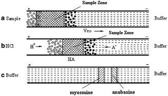 Graphical abstract: The application of capillary electrophoretic on-line preconcentration in alkaloid analysis