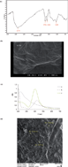 Graphical abstract: A digoxin electrochemical aptasensor using Ag nanoparticle decorated graphene oxide