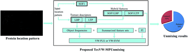 Graphical abstract: Efficient pattern unmixing of multiplex proteins based on variable weighting of texture descriptors